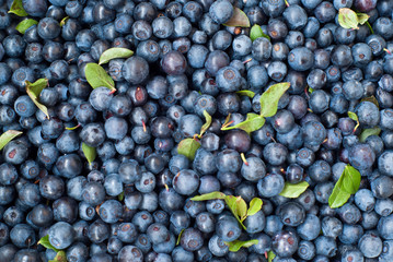 Blueberries background