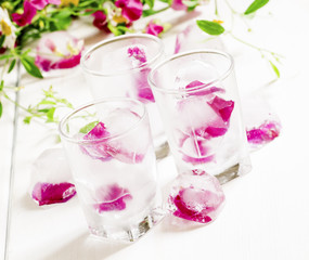 Ice cubes with rose petals on white wooden background, selective