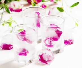 Ice cubes with rose petals on white wooden background, selective