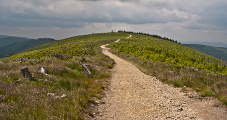 Fototapeta na wymiar hiking trail near Kopa Skrzyczenska hill in Beskid Slaski mountains
