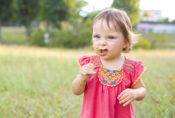 portrait of the little girl with a field flower