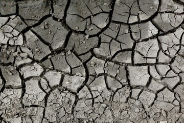 Cracked ground from dryness background