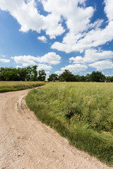 Summer landscape with dirt road. Blue sky with white clouds