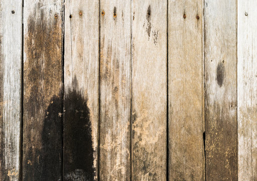 The moldy old pank wall