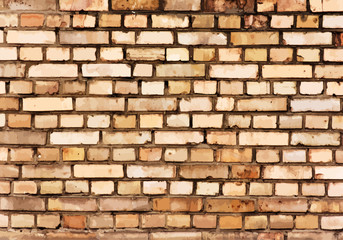 Brick wall detail texture