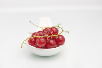 organic fresh delicious redcurrant berry