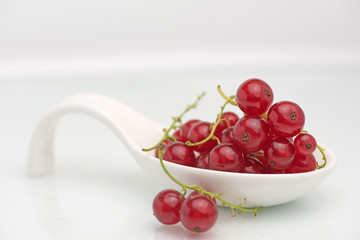organic fresh delicious redcurrant berry