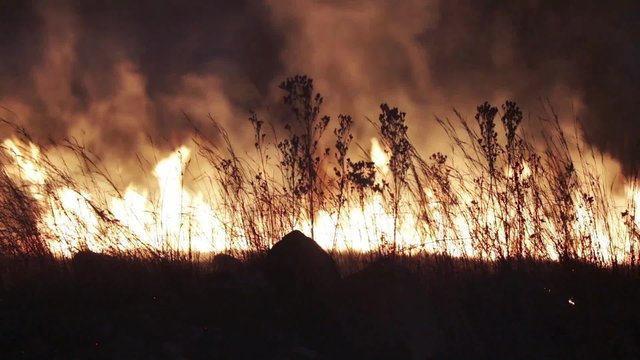 Grass Fire Burning at Night