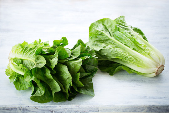 Greek lettuce salad Marula
