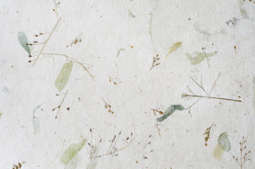 Mulberry paper