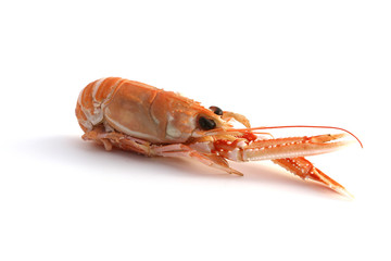 Langouste