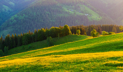 Beautiful summer sunrise in mountains.