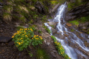 Beautiful small waterfall In Mountains, Ukraine.