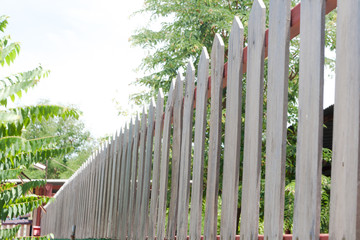 Real brown Wooden fence
