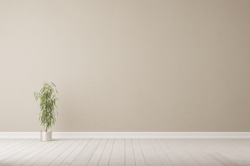 Oleander vor Wand auf Boden - obrazy, fototapety, plakaty