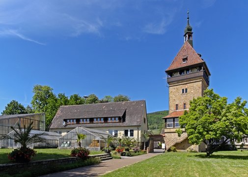Der Geilweilerhof  - Institut für Rebenzüchtung