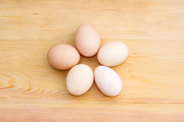 eggs