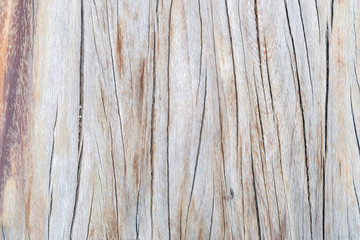 Background from crack old wood