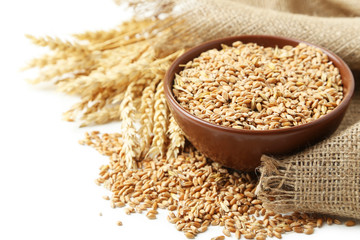 Ears of wheat and bowl of wheat grains on white background