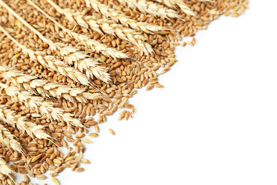 Wheat grains isolated on a white