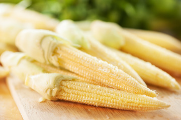 baby corn with dew drop prepare for cooking
