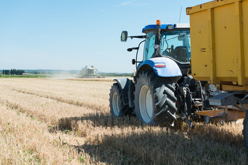 tractor trailer in a wheat field with combine harvester machine in background