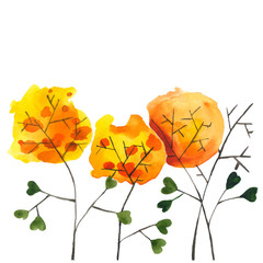 Watercolor vector flowers 