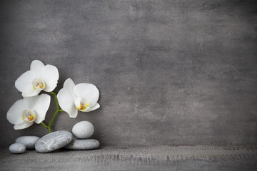 White orchid and spa stones on the grey background.