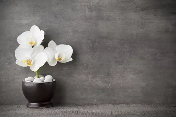 Fototapeten Weiße Orchidee und Badekurortsteine auf dem grauen Hintergrund. © gitusik