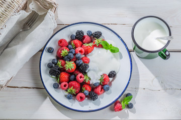 Healthy berry fruits with yogurt