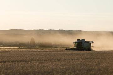 combine harvester agriculture machine harvesting golden ripe wheat field at sunset