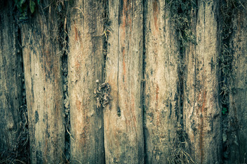 The wall of the old logs. Background. Toned