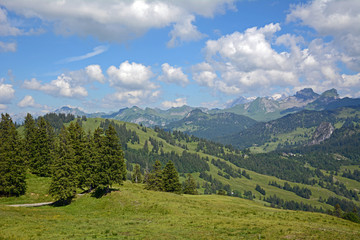 Fototapeta na wymiar Schwyzer Alpen rund ums Ybrig