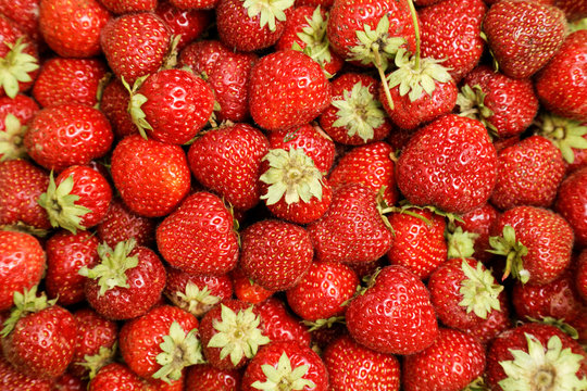 Image of lots of fresh strawberries