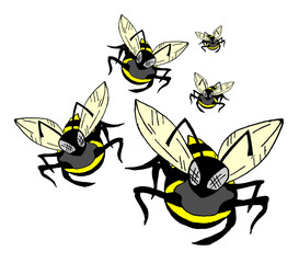 many wasps