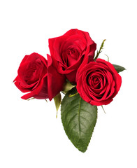 Fototapeta premium Three red roses