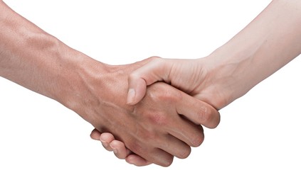 Handshake, Holding Hands, Human Hand.
