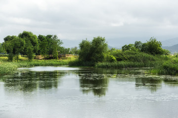 Fototapeta na wymiar Gyeongpo Wetlands Park