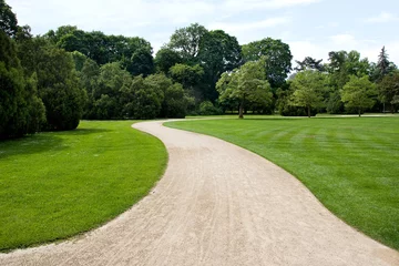 Foto op Plexiglas kronkelend pad in het park © schab
