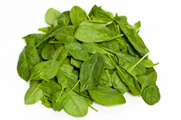 Fresh Green Spinach. Selective focus.