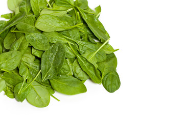 Fresh Green Spinach. Selective focus.