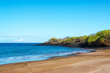 Obraz premium Beach in the Galapagos