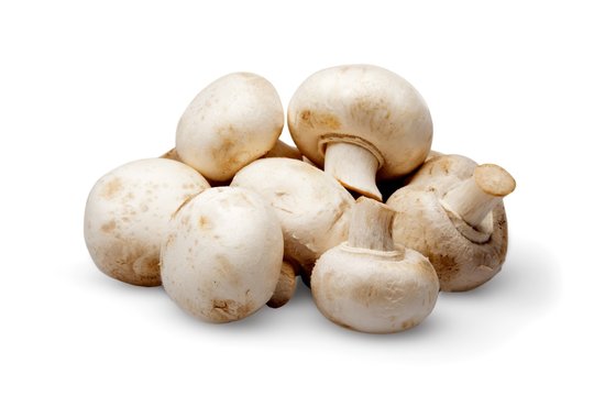 Edible Mushroom, Food, Fungus.