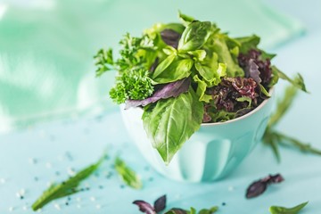 Salad, spinach, mesclun.
