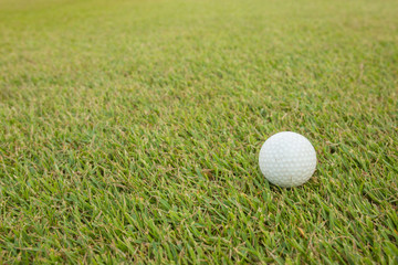 Golf Ball and Golf Club on grass