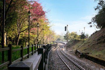 Fototapeta premium Walkway along railway with traffic light and mountain 