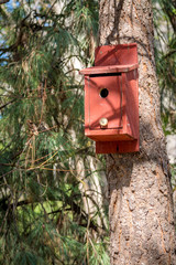 Home for a birn on a tree