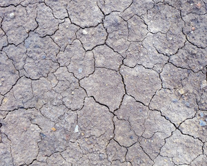 dry soil cracked background
