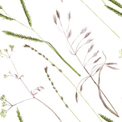 Seamless pattern with flowers and grass