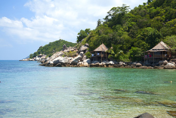 Beach at Summer Season